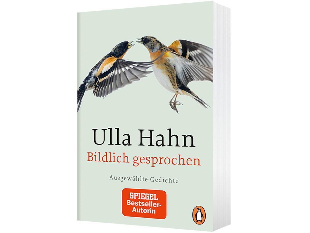 Bild: 9783328104629 | Bildlich gesprochen | Ausgewählte Gedichte | Ulla Hahn | Taschenbuch