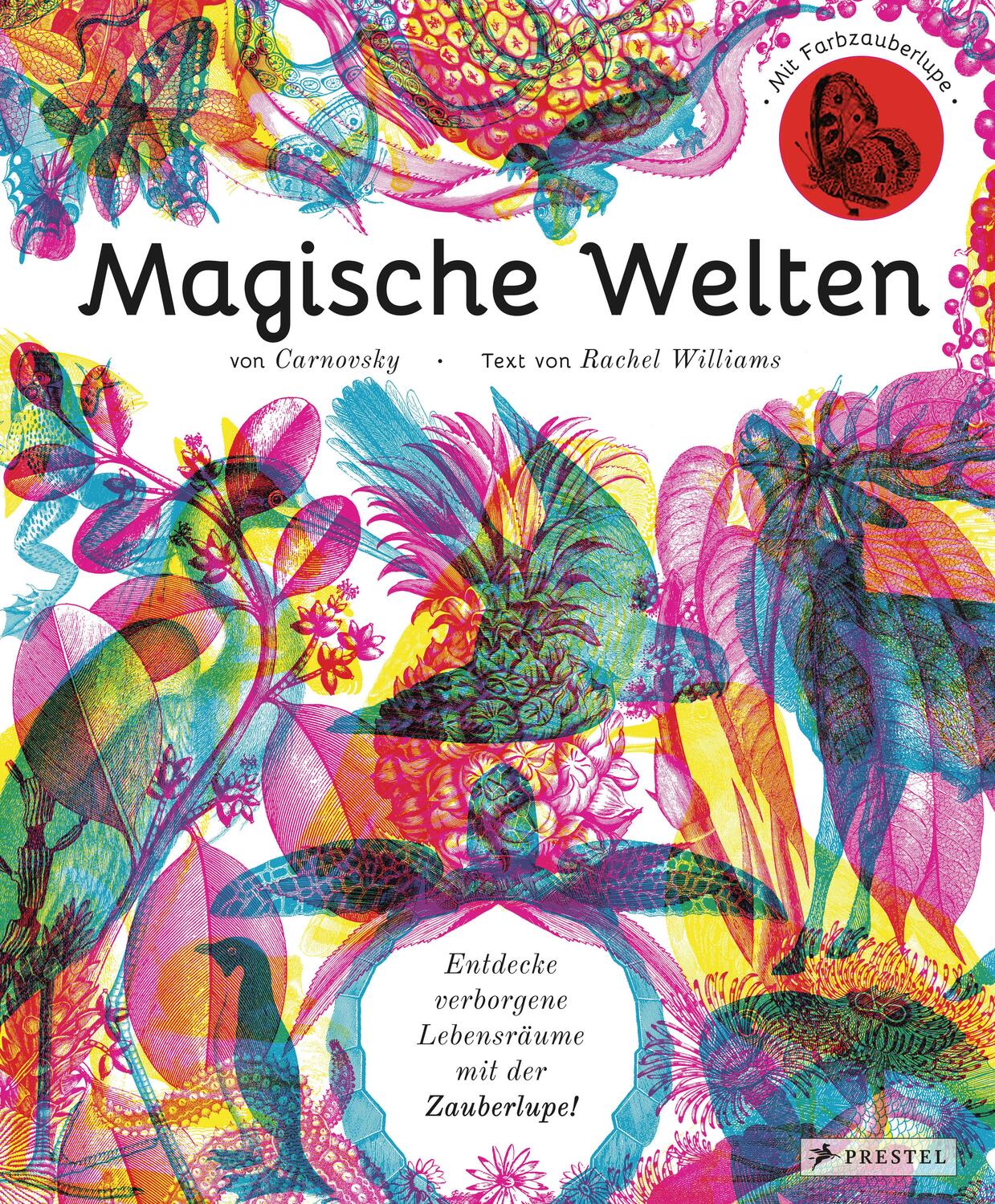 Cover: 9783791372822 | Magische Welten. Entdecke verborgene Lebensräume mit der Zauberlupe!