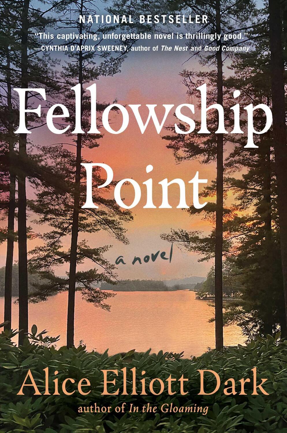 Cover: 9781982131814 | Fellowship Point | A Novel | Alice Elliott Dark | Buch | Englisch