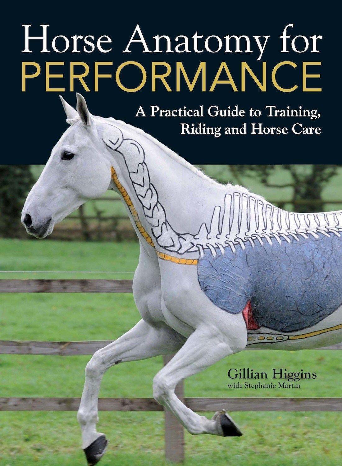 Cover: 9781446300961 | Horse Anatomy for Performance | Gillian Higgins | Buch | Englisch