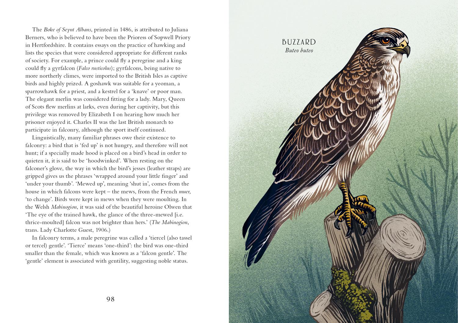 Bild: 9781911657149 | Britain's Birds: A Treasury of Fact, Fiction and Folklore | Jo Woolf