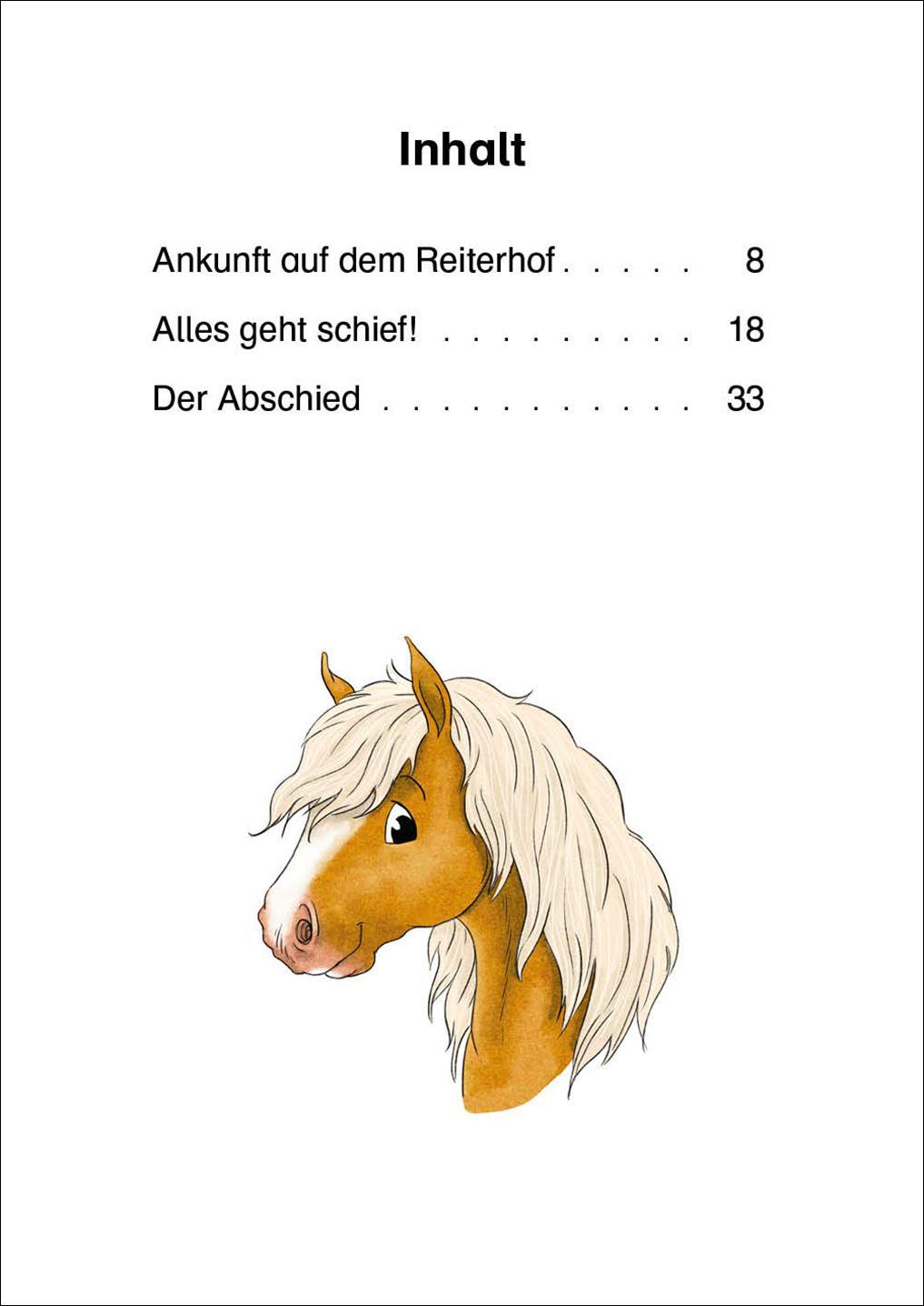 Bild: 9783743207592 | Bildermaus - Willst du mein Freund sein, kleines Pony? | Annette Moser