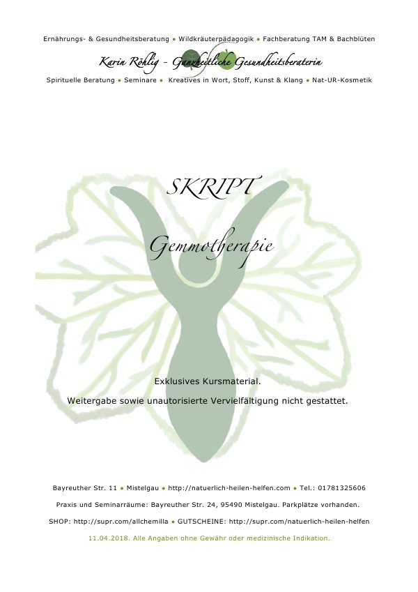 Cover: 9783746717593 | Kursinterne Skripte / Gemmotherapie | Karin Röhlig | Taschenbuch