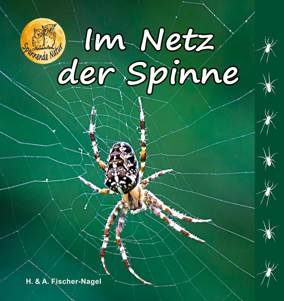 Cover: 9783930038688 | Im Netz der Spinne | Heiderose Fischer-Nagel (u. a.) | Buch | Deutsch