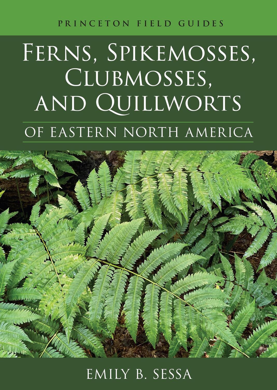 Cover: 9780691219455 | Ferns, Spikemosses, Clubmosses, and Quillworts of Eastern North...