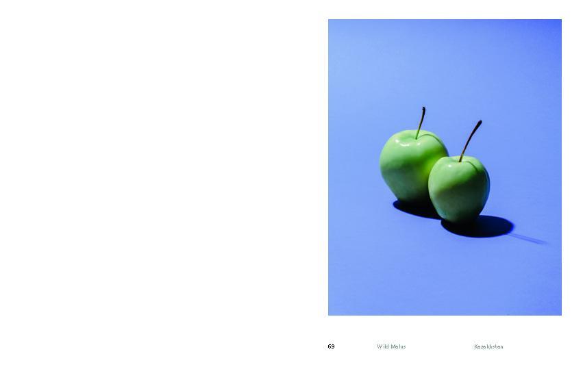 Bild: 9783775751124 | Odd Apples | Buch | 128 S. | Englisch | 2021 | Hatje Cantz Verlag GmbH