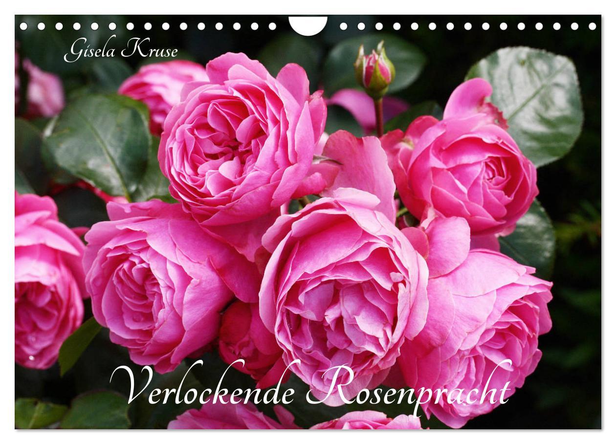 Cover: 9783435135226 | Verlockende Rosenpracht (Wandkalender 2025 DIN A4 quer), CALVENDO...