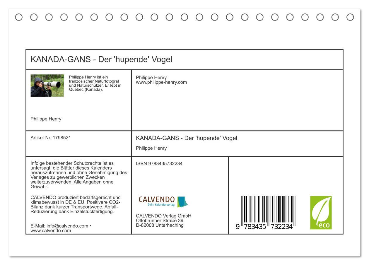 Bild: 9783435732234 | KANADA-GANS - Der 'hupende' Vogel (Tischkalender 2025 DIN A5 quer),...