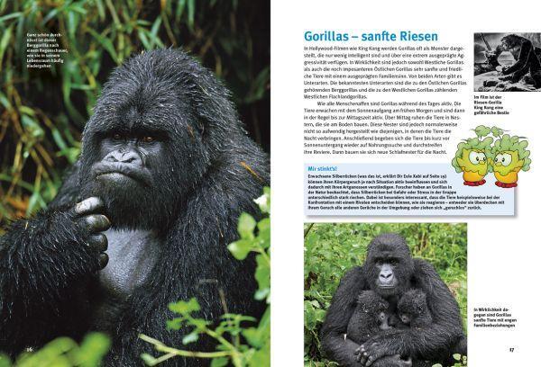 Bild: 9783866593084 | Entdecke die Menschenaffen | Gorilla, Orang-Utan und Co | Buch | 56 S.
