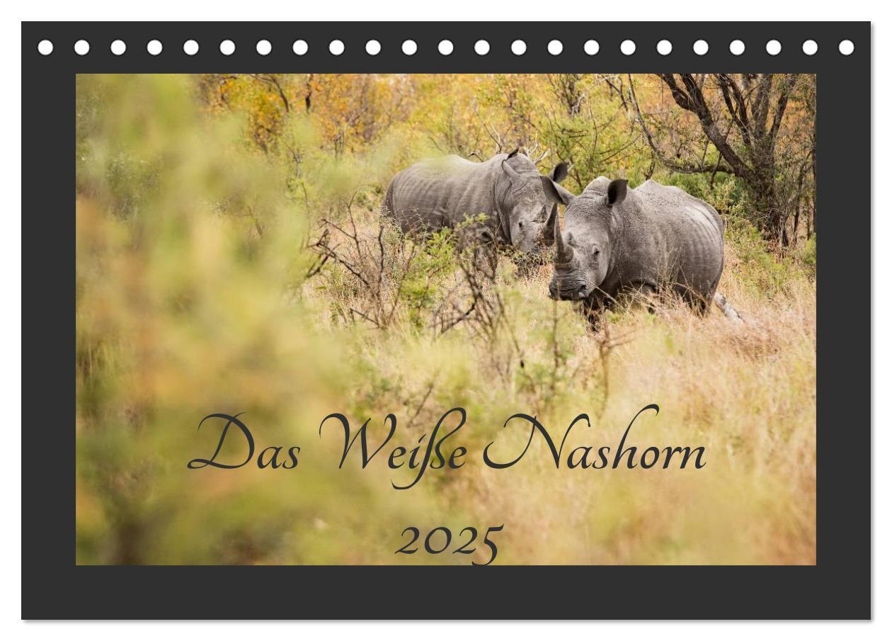 Cover: 9783435564446 | Das Weiße Nashorn (Tischkalender 2025 DIN A5 quer), CALVENDO...