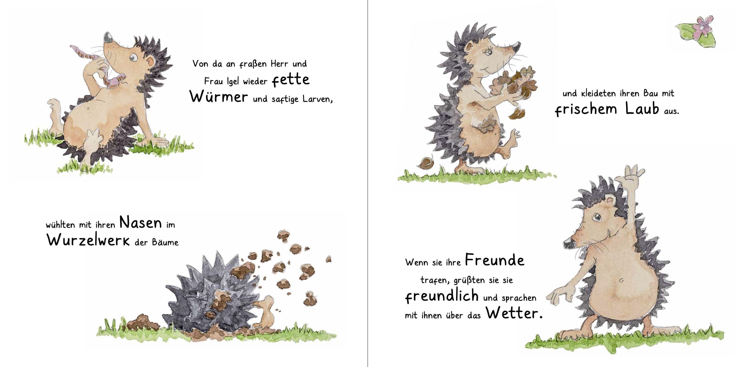 Bild: 9783948417161 | Die Geschichte von Herrn und Frau Igel | Michaela Rosenbaum | Buch