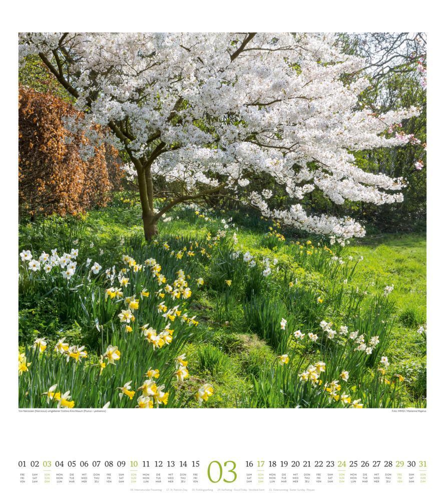 Bild: 9783838424286 | Paradiesische Gärten Kalender 2024 | Ackermann Kunstverlag | Kalender