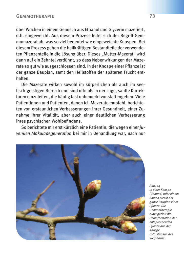 Bild: 9783981252026 | Makula-Degeneration, Diabetische Retinopathie | Andreas Nieswandt