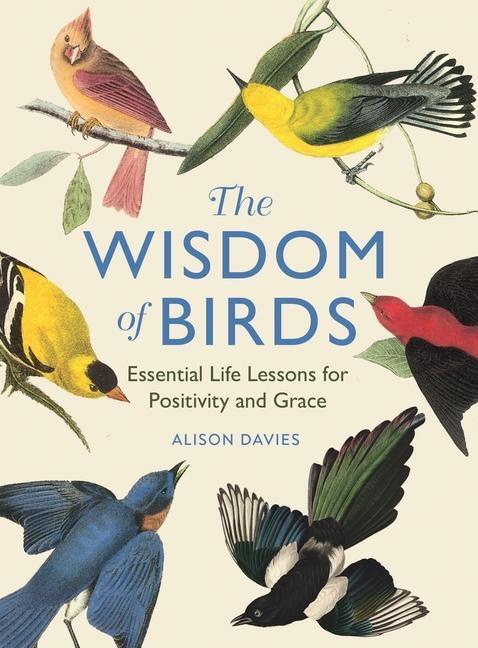 Cover: 9781915751140 | The Wisdom of Birds | Essential Life Lessons for Positivity and Grace