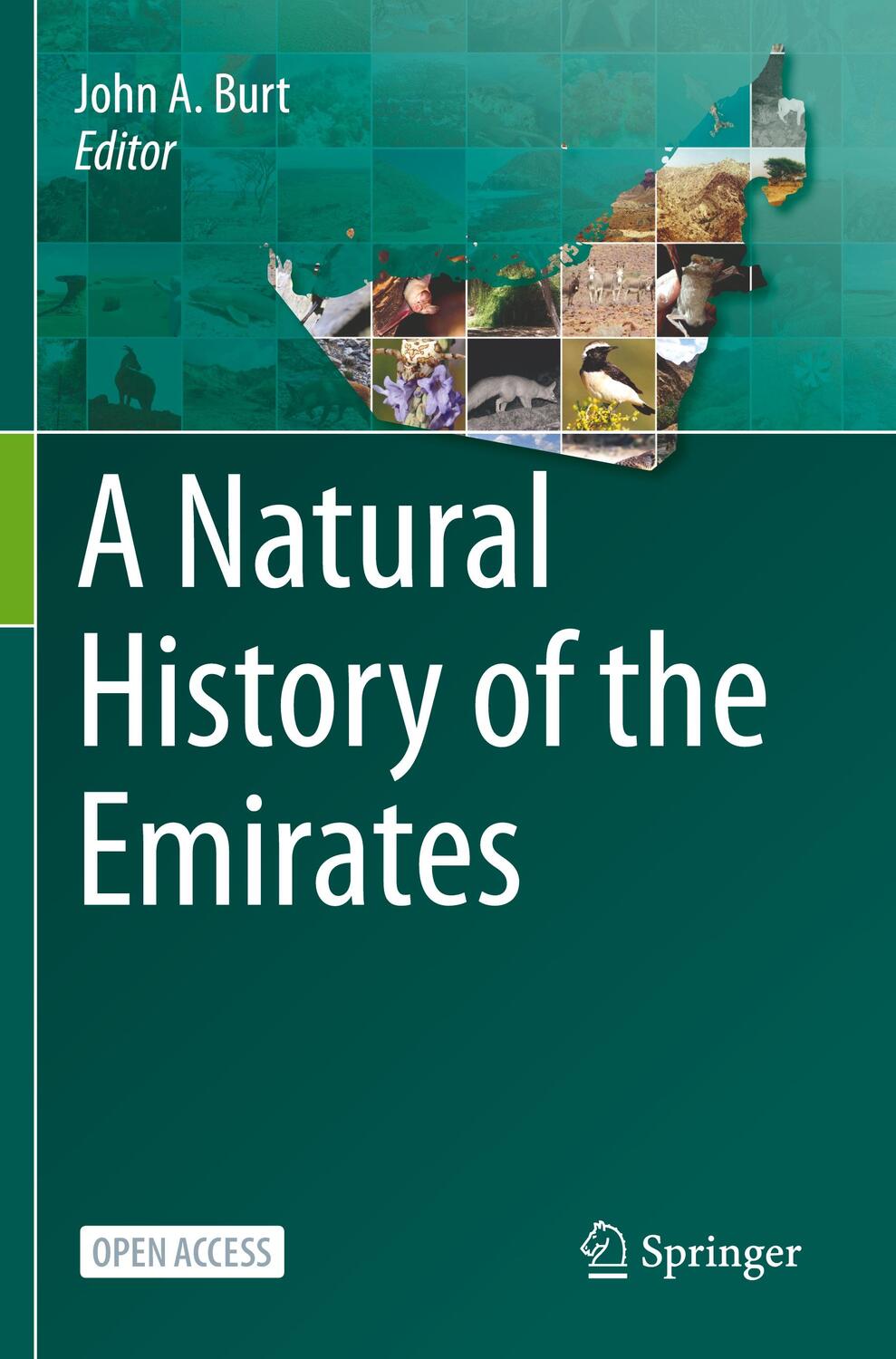Cover: 9783031373992 | A Natural History of the Emirates | John A. Burt | Taschenbuch | xi