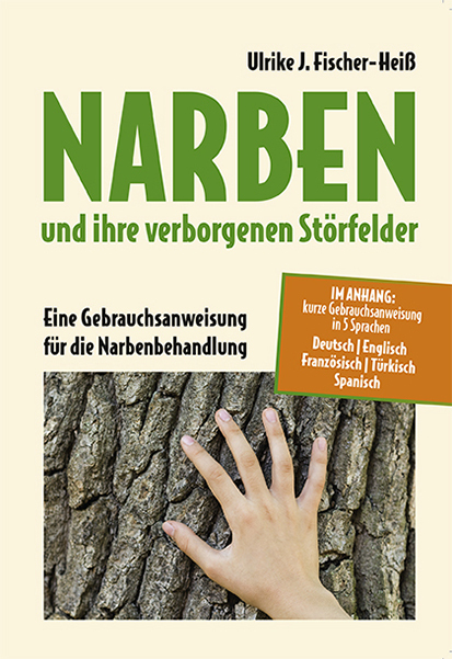 Cover: 9783945833957 | NARBEN und ihre verborgenen Störfelder | Ulrike Fischer-Heiß | Buch