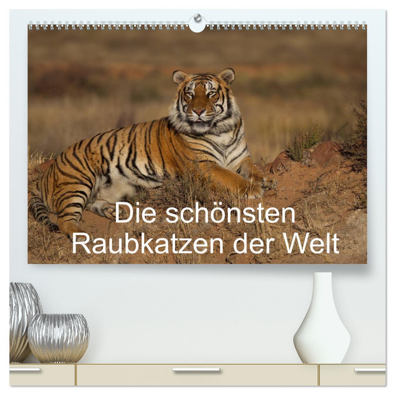 Cover: 9783383458200 | Die schönsten Raubkatzen der Welt (hochwertiger Premium...