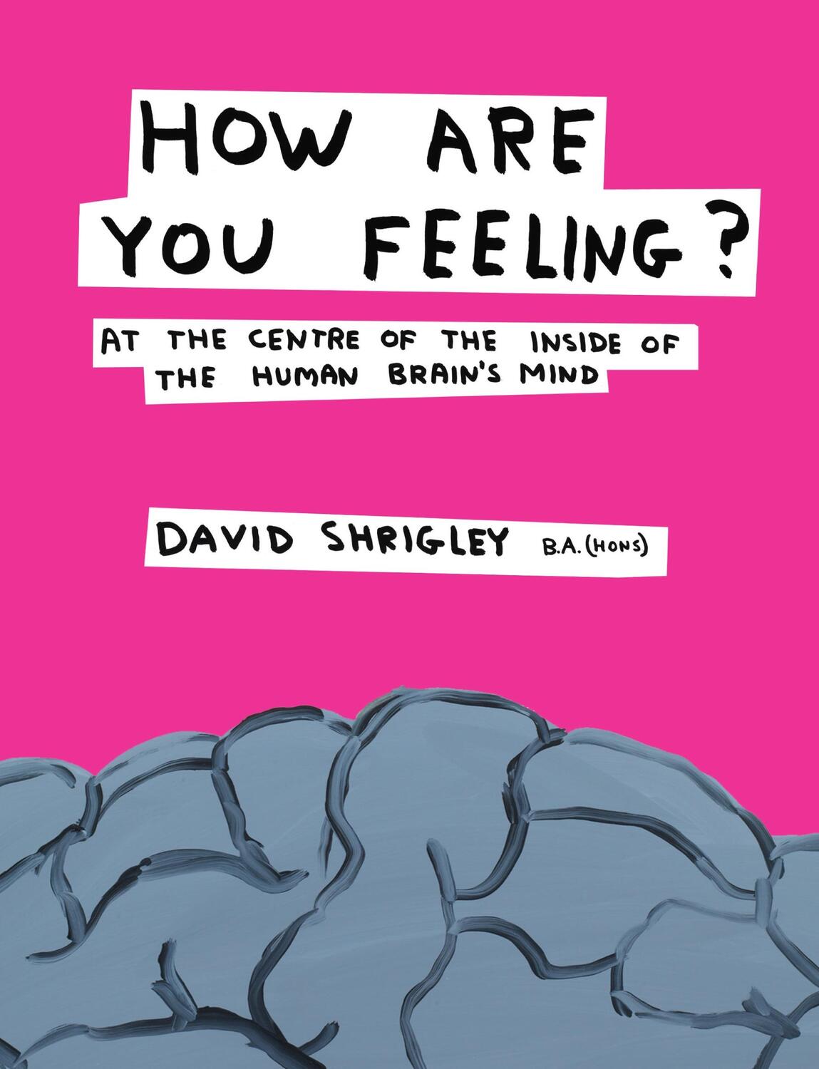 Cover: 9780857867216 | How Are You Feeling? | David Shrigley | Buch | Englisch | 2012
