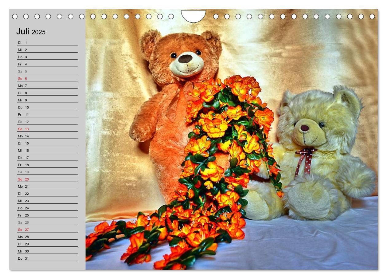 Bild: 9783435496068 | TEDDYBÄR, OH TEDDYBÄR... (Wandkalender 2025 DIN A4 quer), CALVENDO...