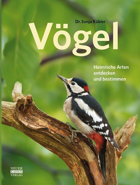 Cover: 9783846830000 | Vögel | Heimische Arten entdecken und bestimmen | Sonja Kübler | Buch