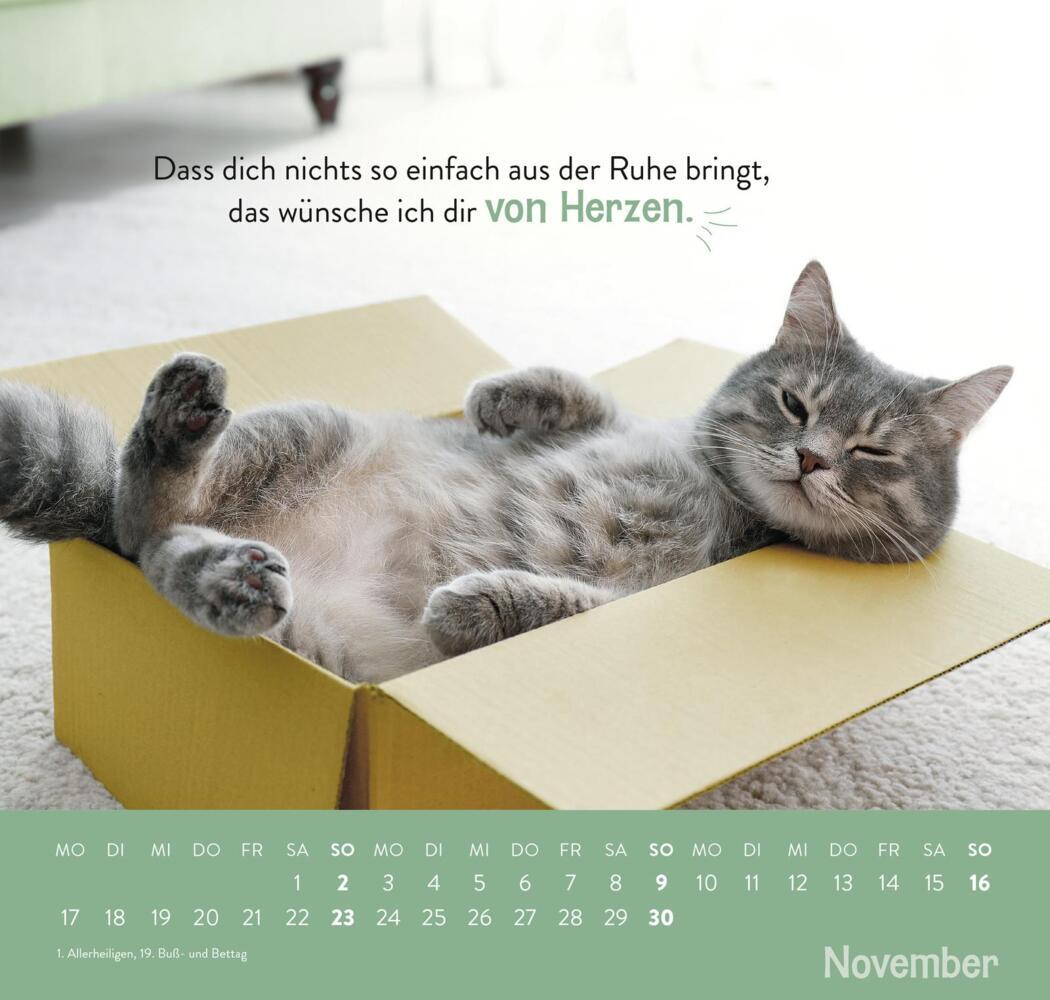 Bild: 4036442011898 | Wandkalender 2025: Einfach mal abhängen | Groh Verlag | Kalender