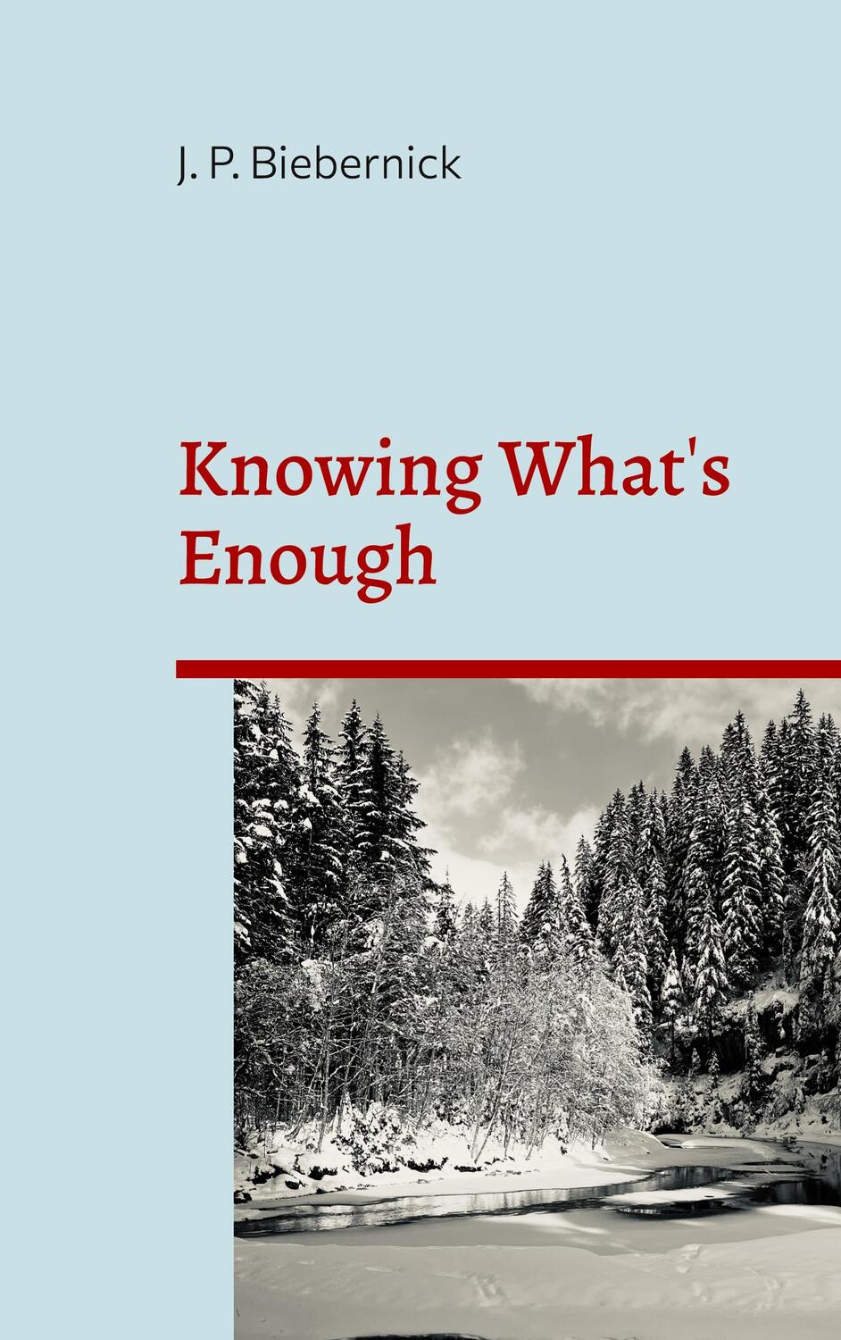 Cover: 9783756828005 | Knowing What's Enough | Joerg Biebernick | Taschenbuch | Paperback