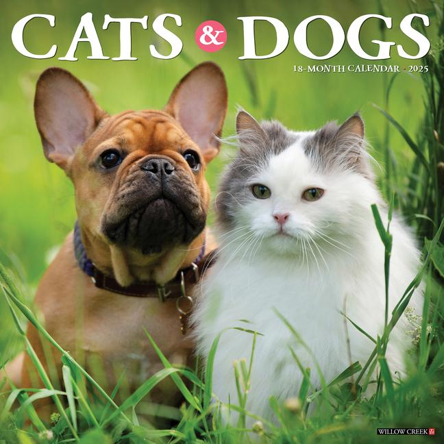 Cover: 9781549242243 | Cats &amp; Dogs 2025 12 X 12 Wall Calendar | Willow Creek Press | Kalender