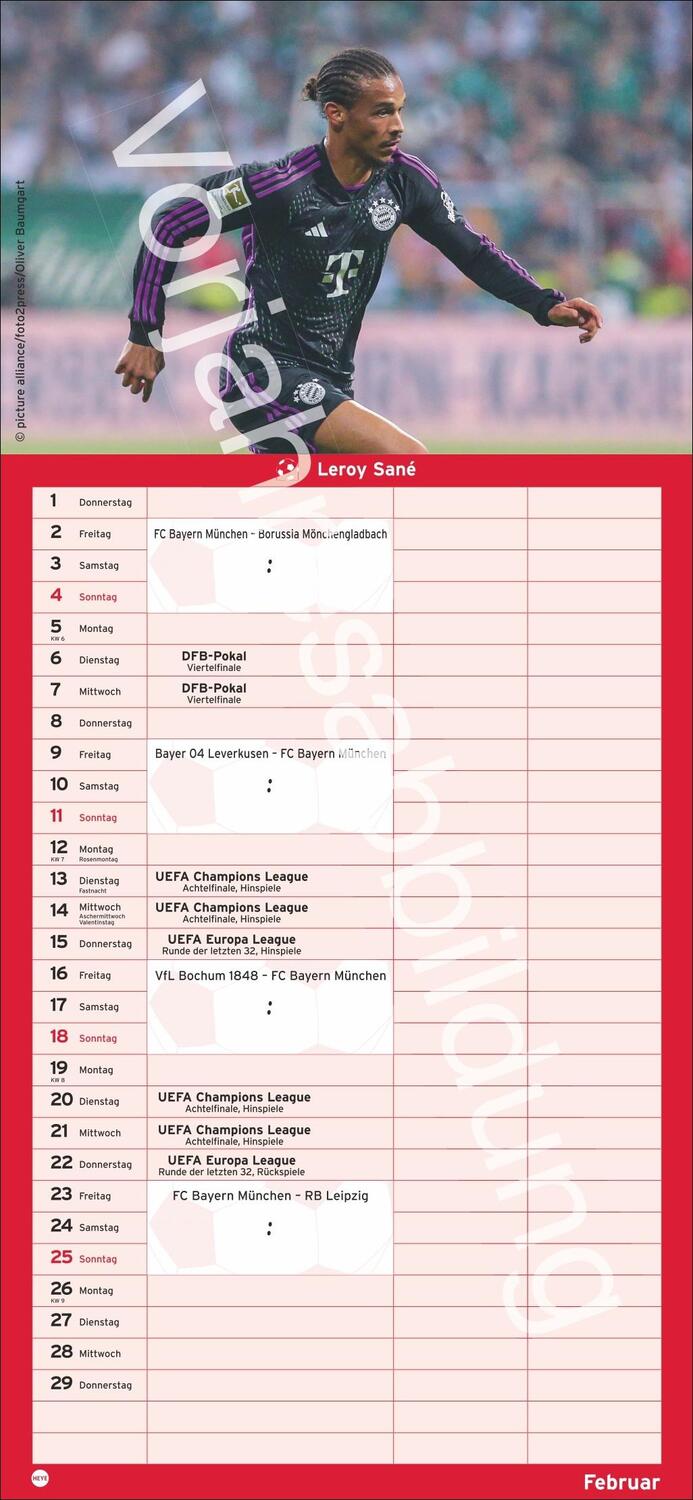 Bild: 9783756406166 | FC Bayern München Fanplaner 2025 | Heye | Kalender | Spiralbindung