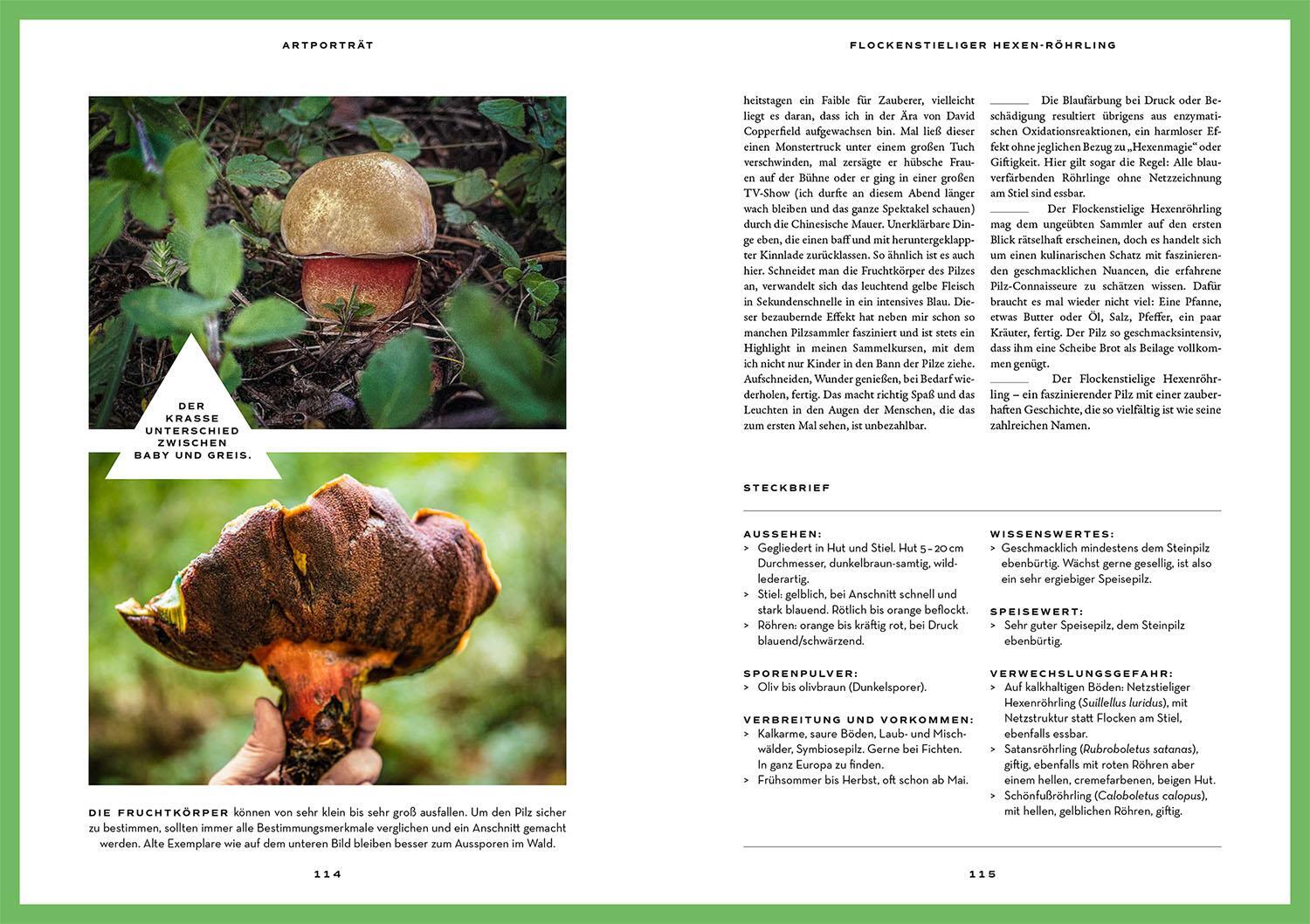 Bild: 9783440179260 | Mushroom Fever | Über die Liebe zu Pilzen und wo du sie findest | Buch