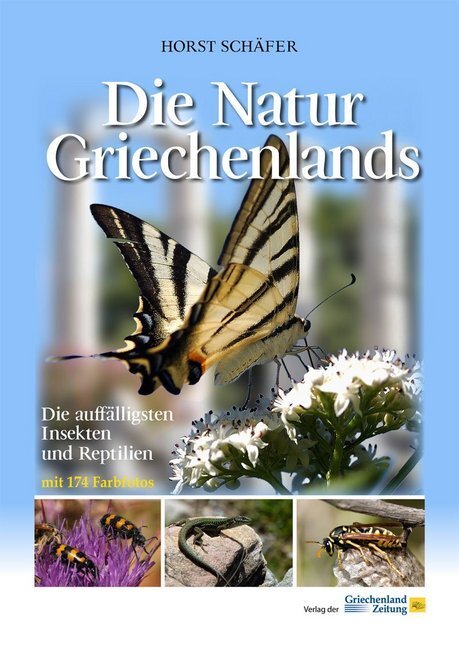 Cover: 9783990210260 | Die Natur Griechenlands | Die auffälligsten Insekten und Reptilien
