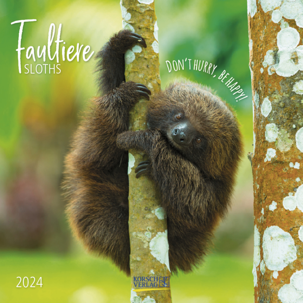Cover: 9783731867890 | Faultier 2024 | Korsch Verlag | Kalender | Englisch Broschur | 13 S.