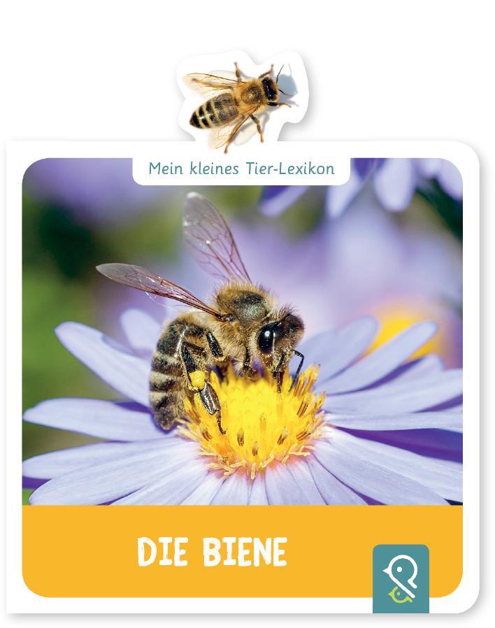 Cover: 9783946360117 | Mein kleines Tier-Lexikon - Die Biene | Hannah Kastenhuber | Buch