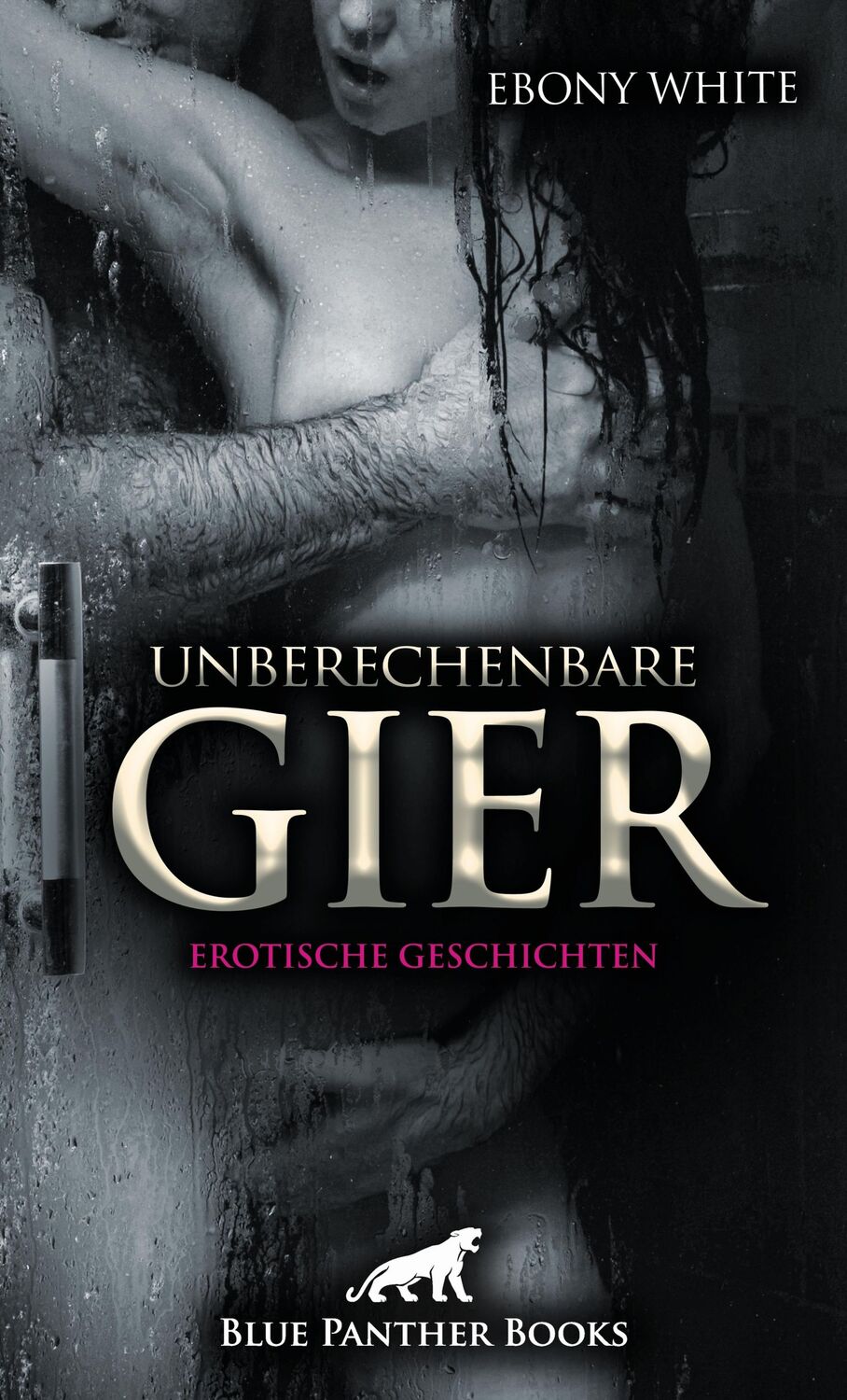 Cover: 9783750716094 | Unberechenbare Gier Erotische Geschichten | Eine echte Lustreise!