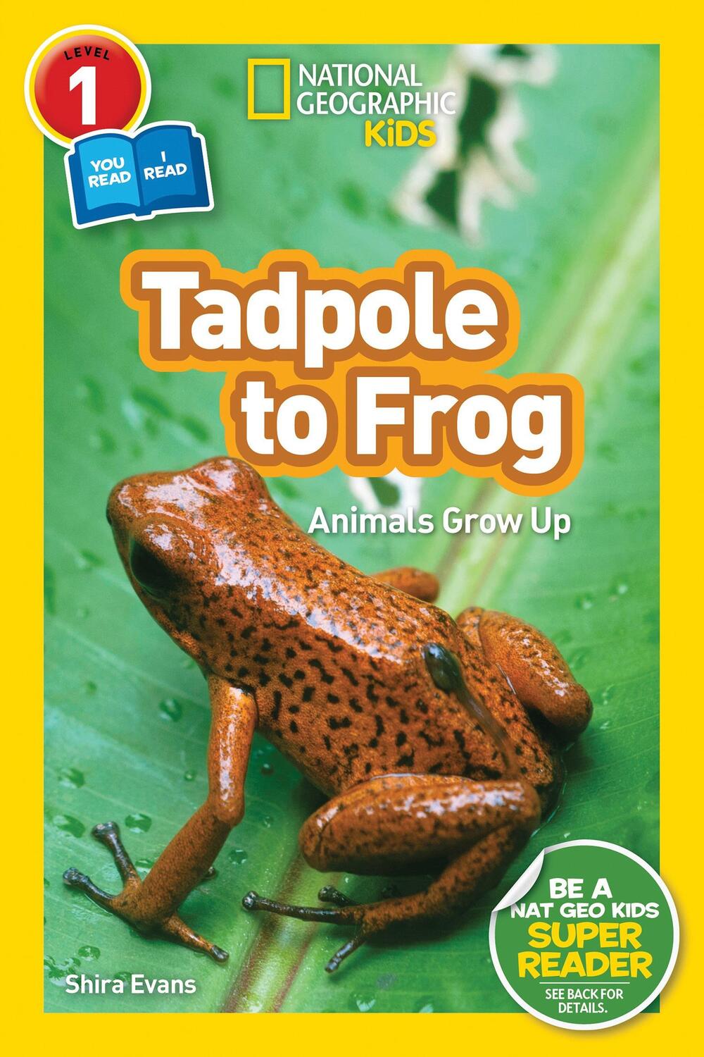 Cover: 9781426332036 | National Geographic Readers: Tadpole to Frog (L1/Coreader) | Evans