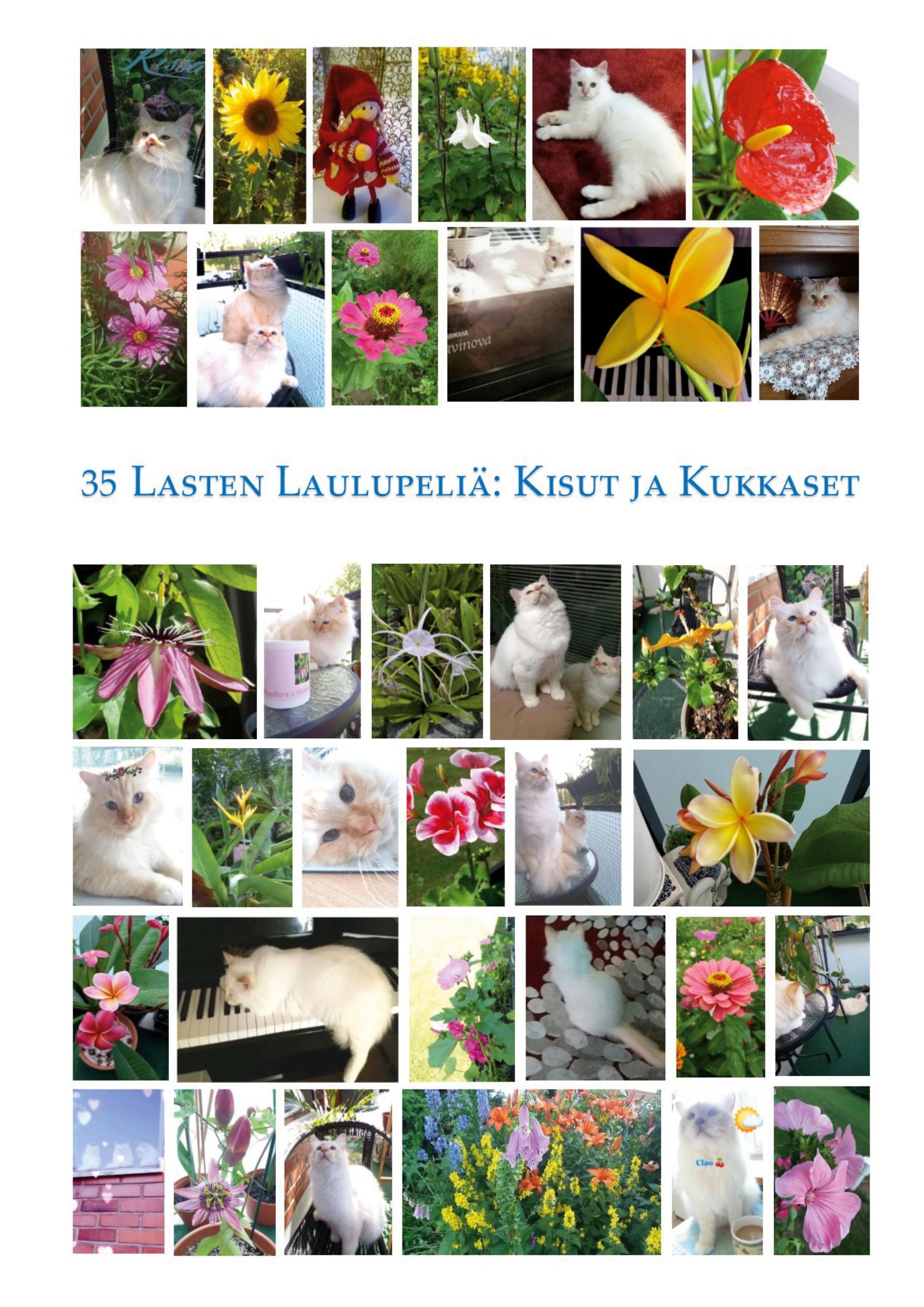 Cover: 9789528044710 | 35 lasten laulupeliä | Kisut ja kukkaset | Susanna Király | Buch