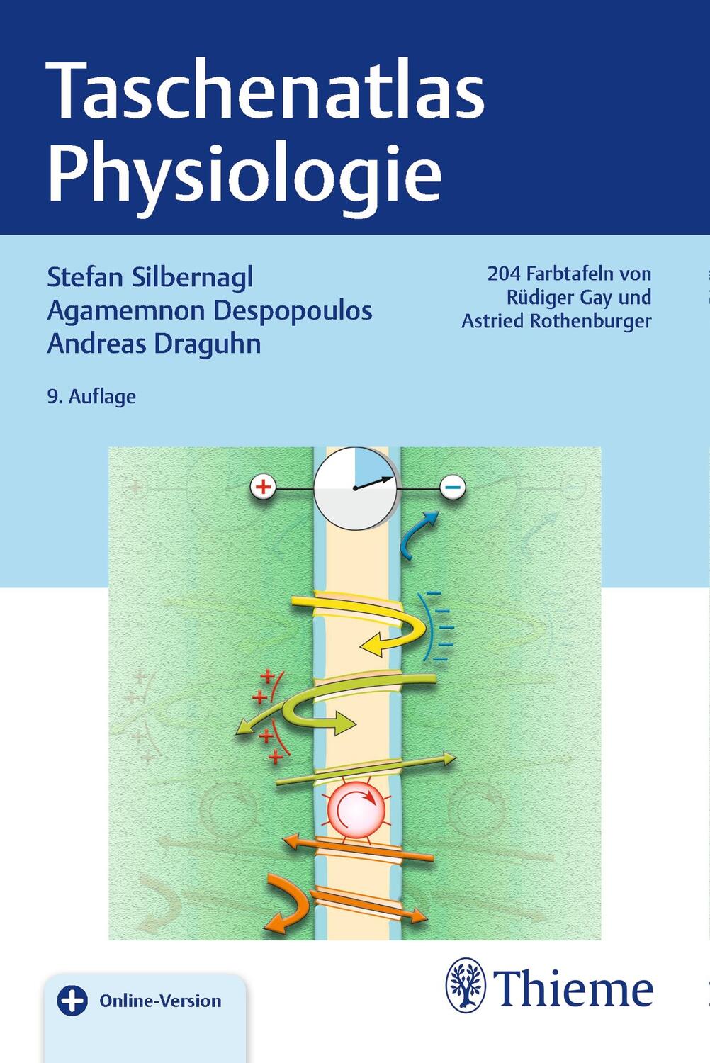 Cover: 9783132410305 | Taschenatlas Physiologie | Stefan Silbernagl | Bundle | 1 Taschenbuch