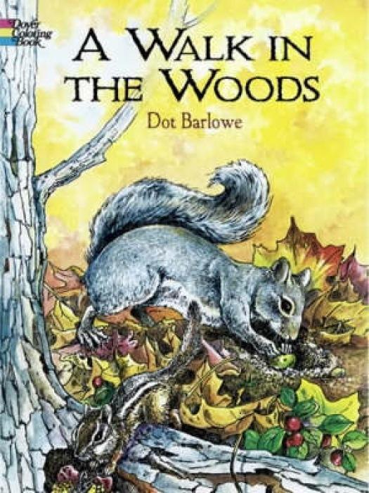 Cover: 9780486426440 | WALK IN THE WOODS COLOR BK | Dot Barlowe | Taschenbuch | Englisch