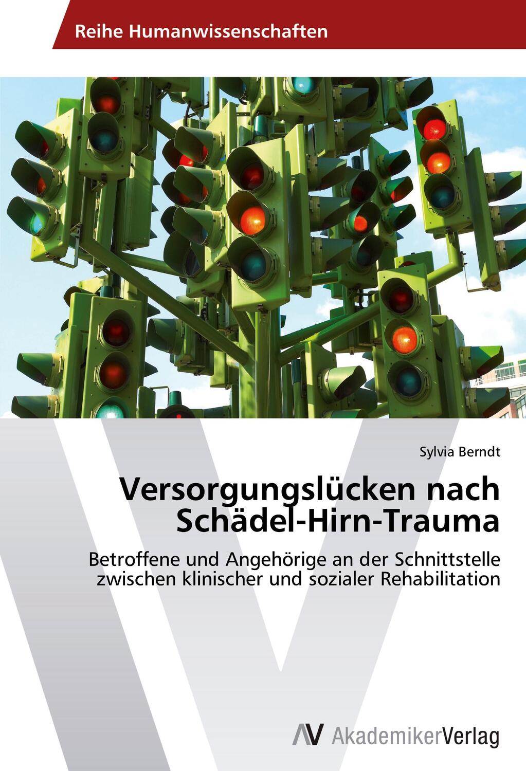 Cover: 9783639626612 | Versorgungslücken nach Schädel-Hirn-Trauma | Sylvia Berndt | Buch