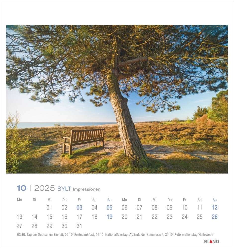 Bild: 9783964023353 | Sylt Impressionen Postkartenkalender 2025 | Kalender | Spiralbindung