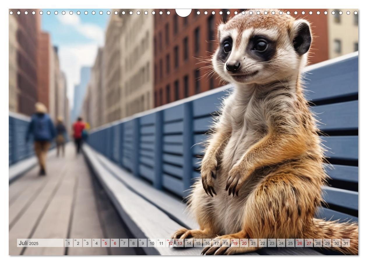 Bild: 9783383797910 | Erdmännchen in New York City (Wandkalender 2025 DIN A3 quer),...