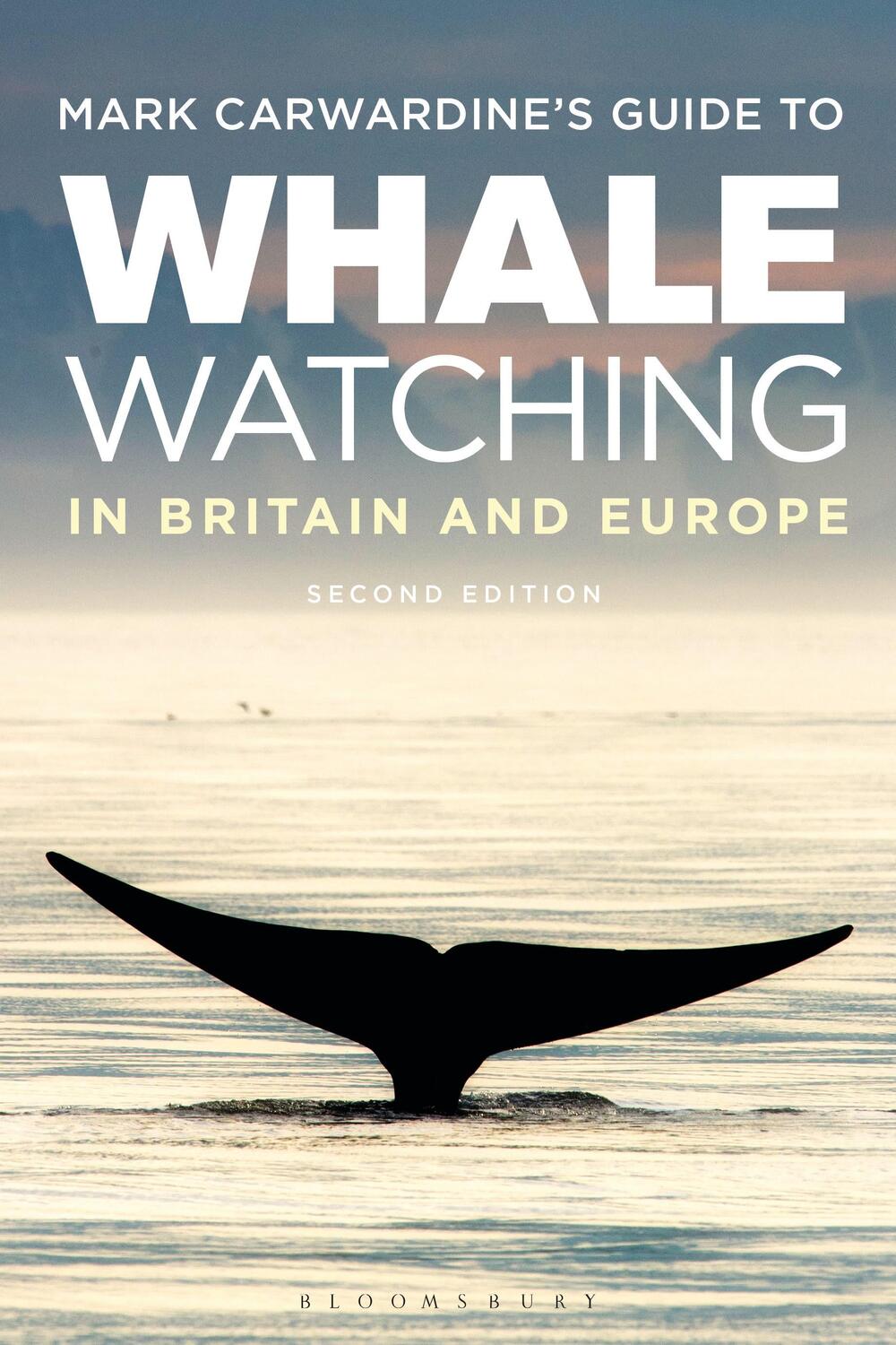 Cover: 9781472979339 | Mark Carwardine's Guide To Whale Watching In Britain And Europe | Buch
