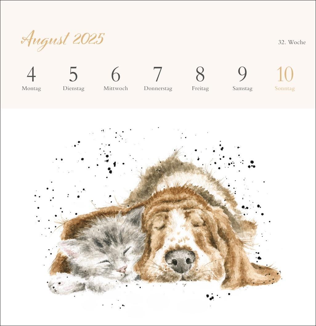 Bild: 9783756408641 | Hannah Dale: Happy Animals Premium-Postkartenkalender 2025 | Kalender