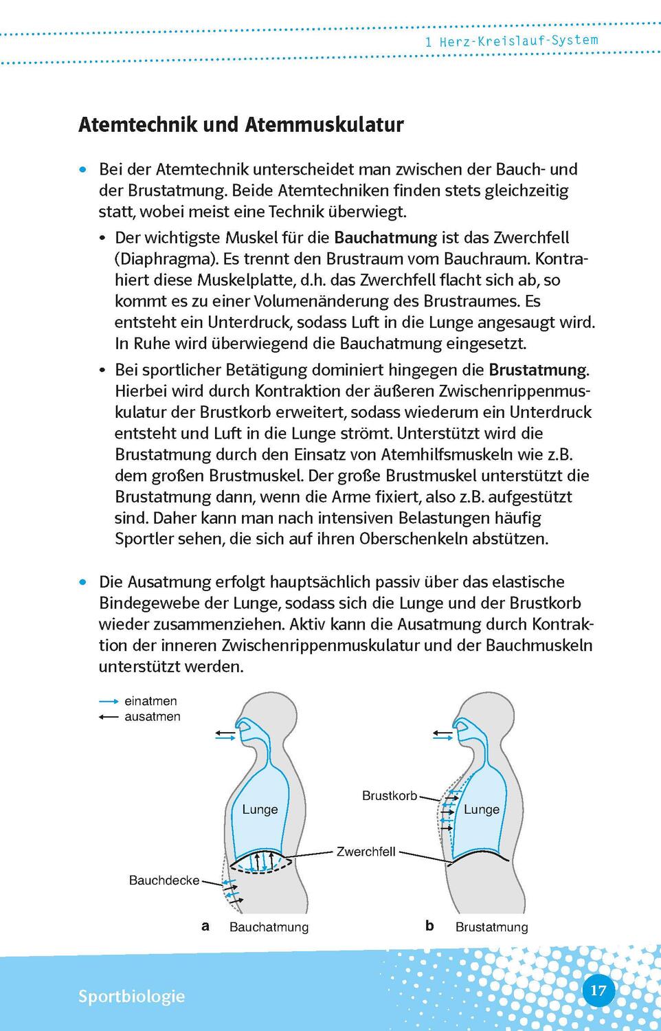 Bild: 9783129497494 | Abi last minute Sport | Taschenbuch | 160 S. | Deutsch | 2023