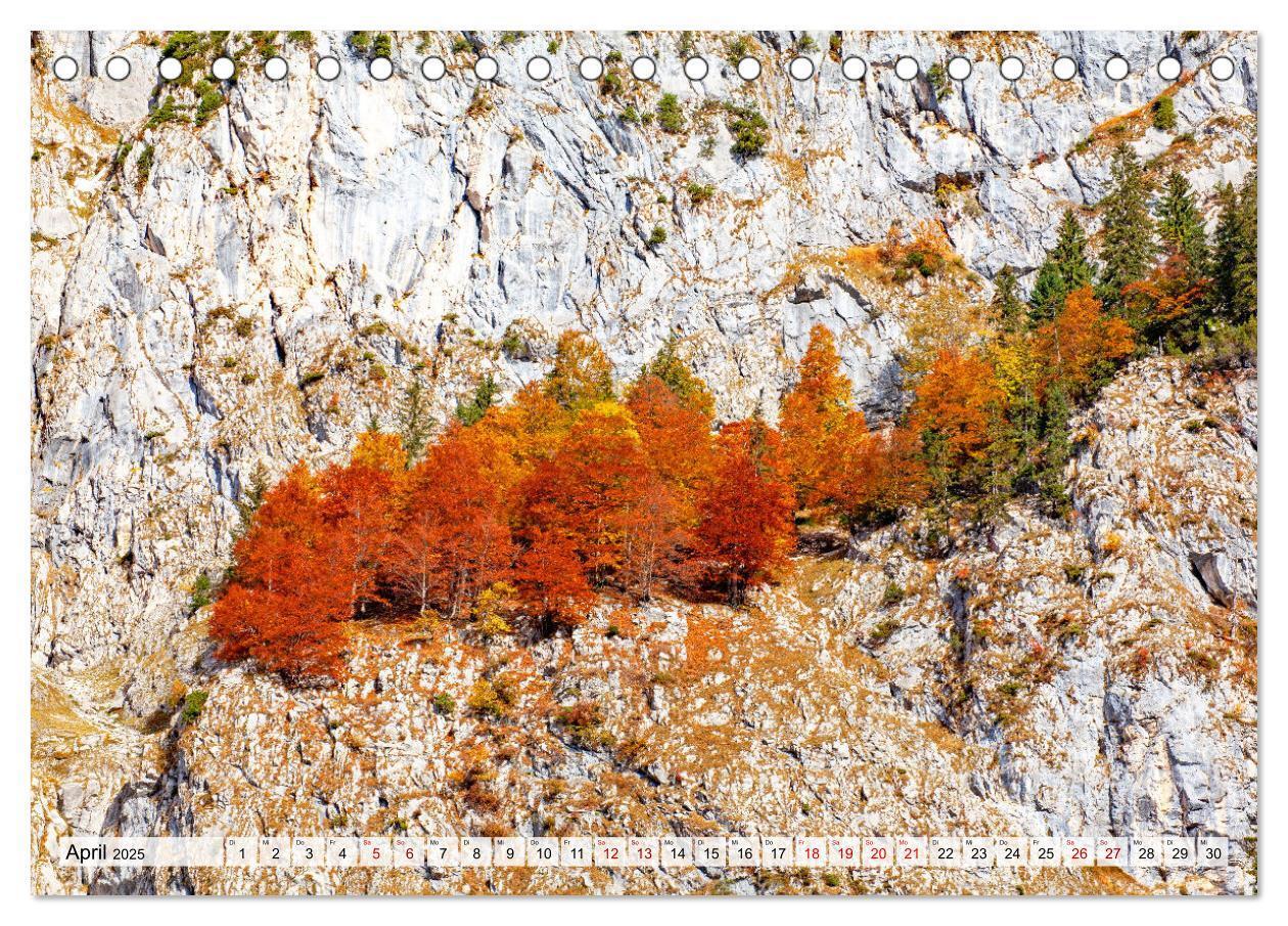 Bild: 9783457037164 | Herbstflammen im Karwendel- und Wettersteingebirge (Tischkalender...