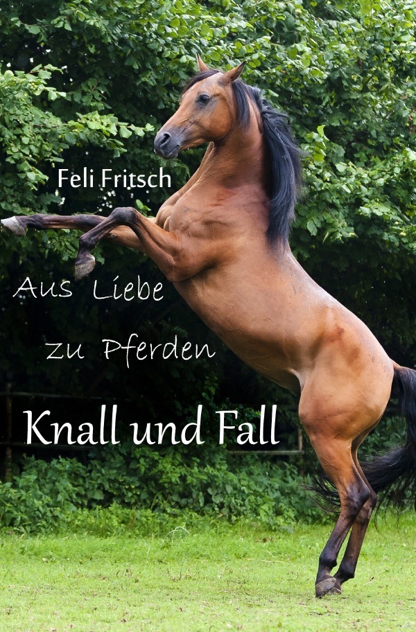 Cover: 9783746751696 | Aus Liebe zu Pferden - Knall und Fall | Feli Fritsch | Taschenbuch