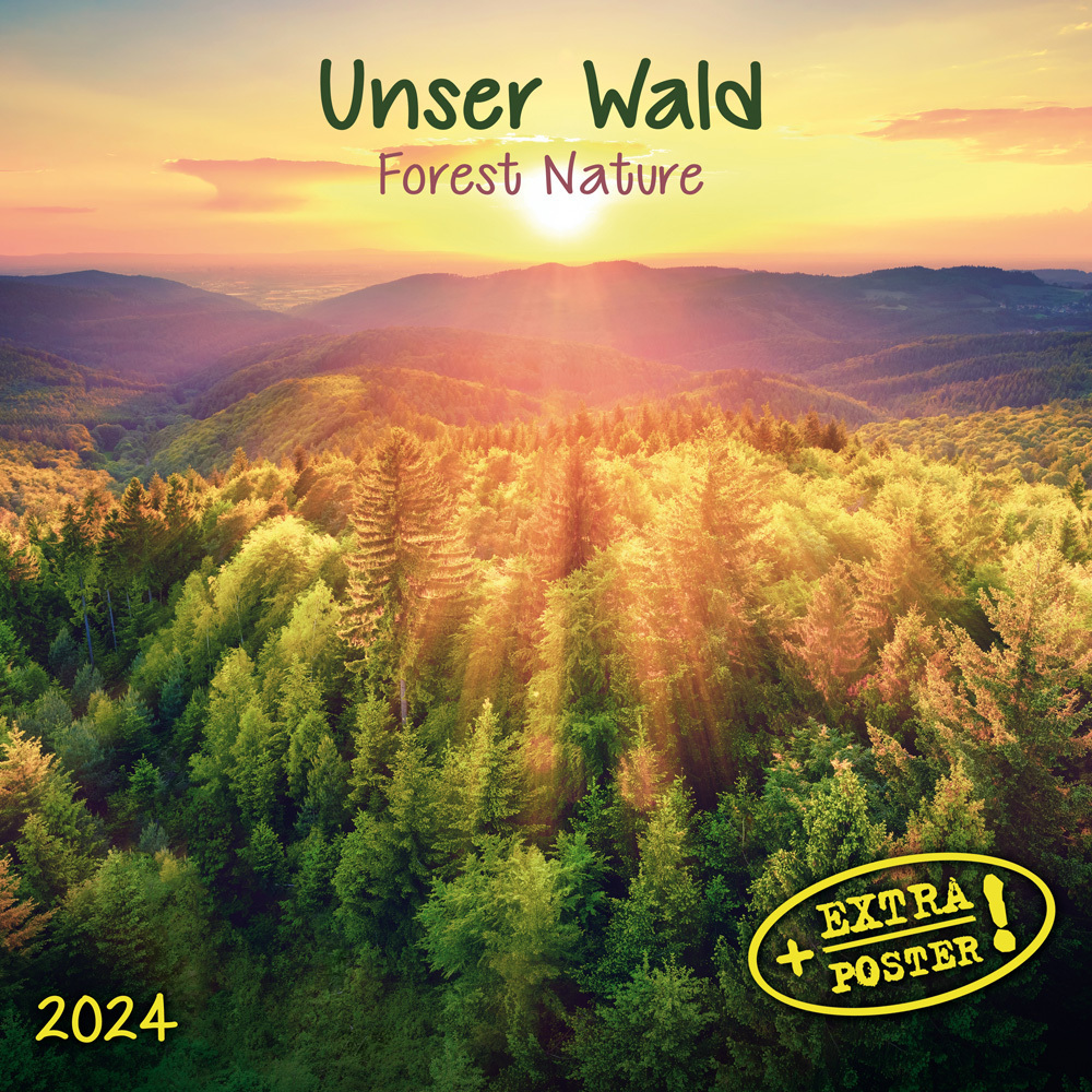 Cover: 9783959293242 | Forest Nature/Unser Wald 2024 | Kalender 2024 | Kalender | 28 S.