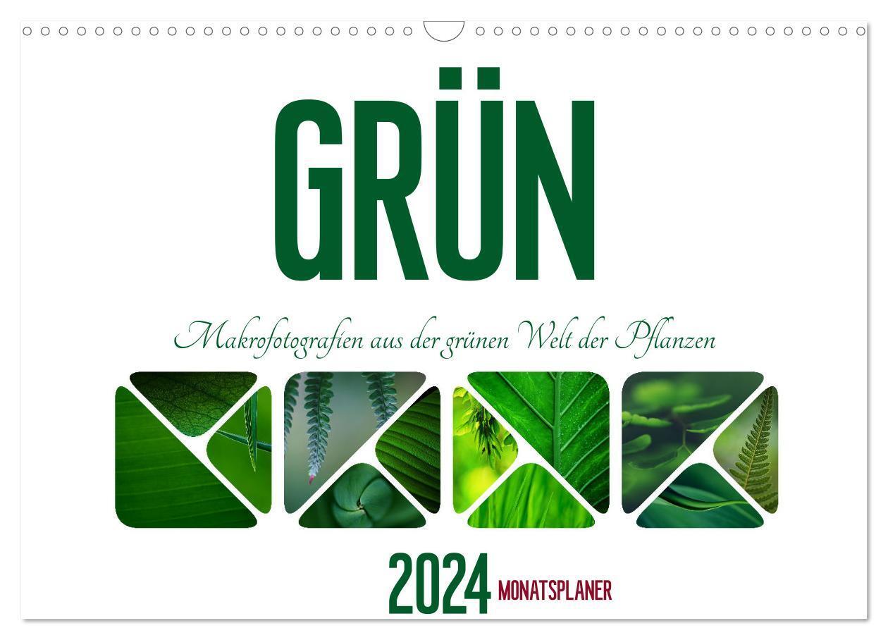 Cover: 9783675667556 | Grün Makrofotografien aus der grünen Welt der Pflanzen als...