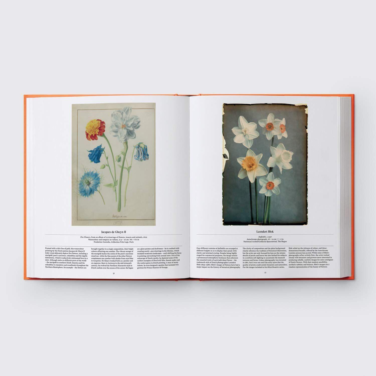 Bild: 9781838660857 | Flower: Exploring the World in Bloom | Editors Phaidon | Buch | 352 S.