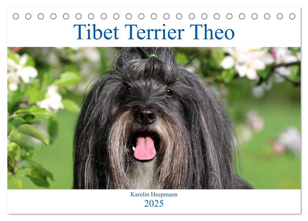 Cover: 9783457162392 | Tibet Terrier Theo (Tischkalender 2025 DIN A5 quer), CALVENDO...