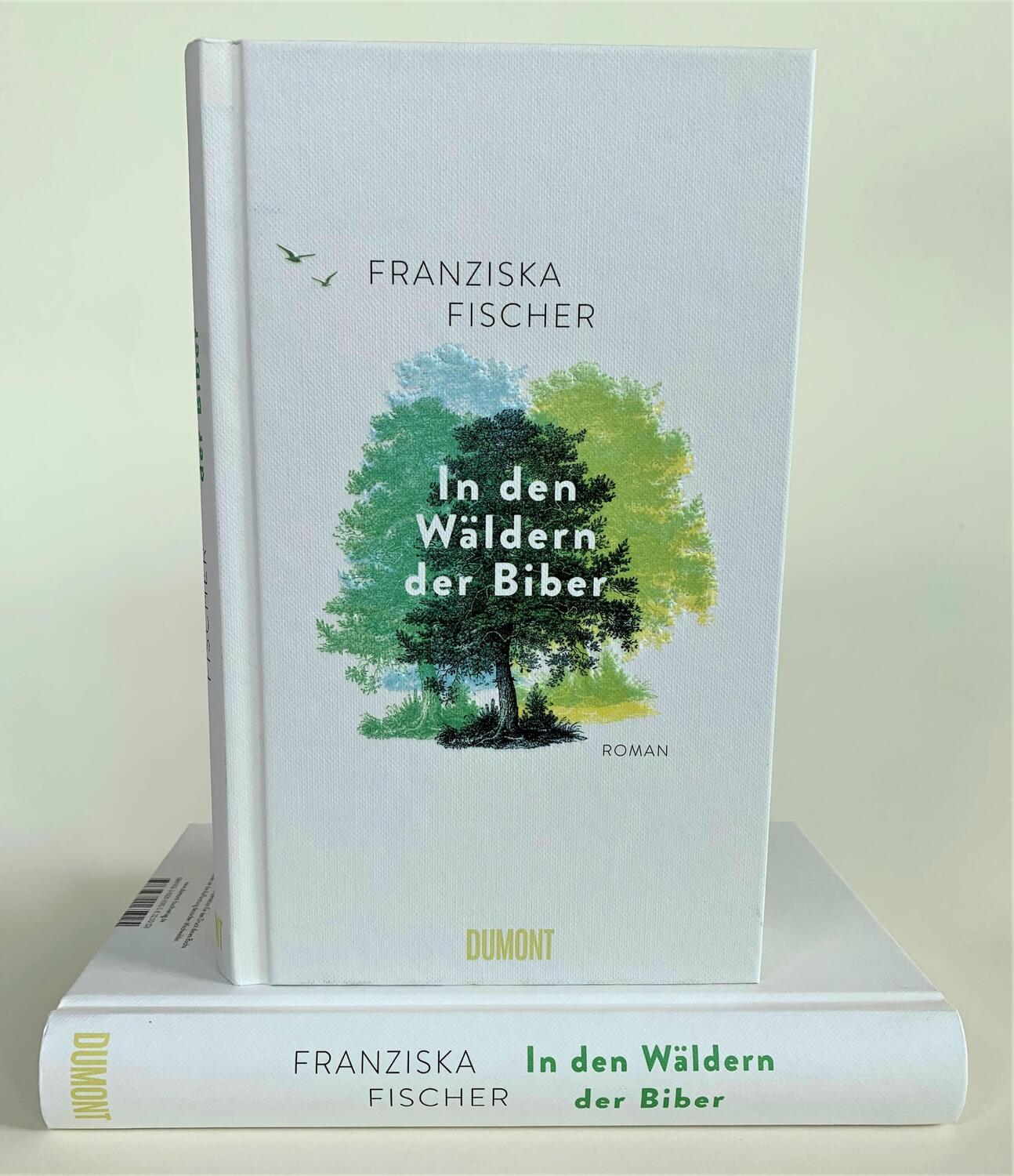 Bild: 9783832165925 | In den Wäldern der Biber | Roman | Franziska Fischer | Buch | Deutsch